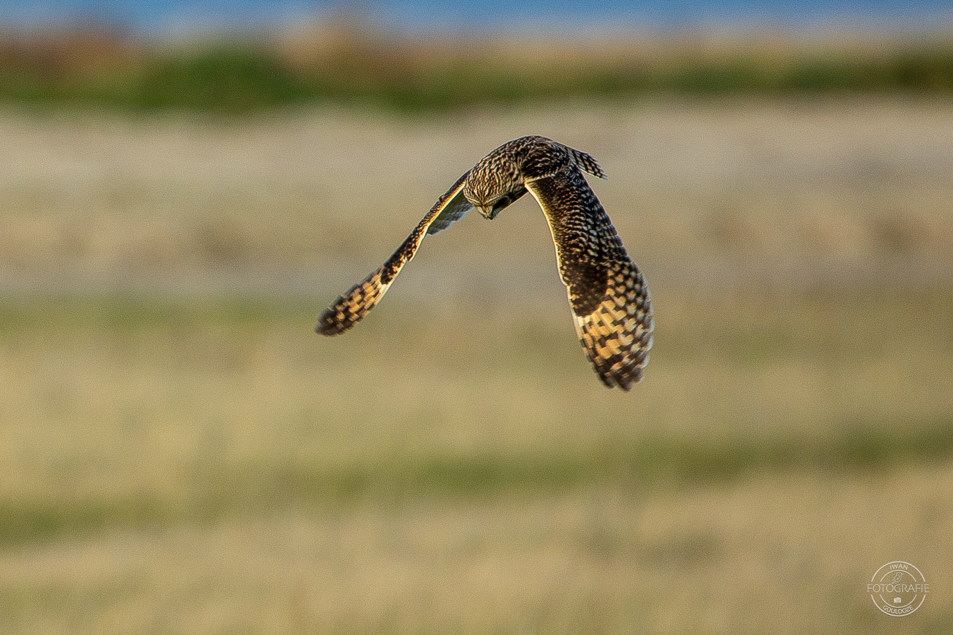 16 oktober 2022 165708 1R2A3154